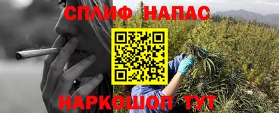 тгк Малоярославец