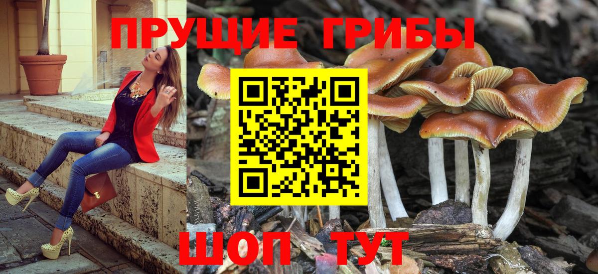 Заводоуковск  Галлюциногенные грибы Magic Shrooms  Вход с VPN 