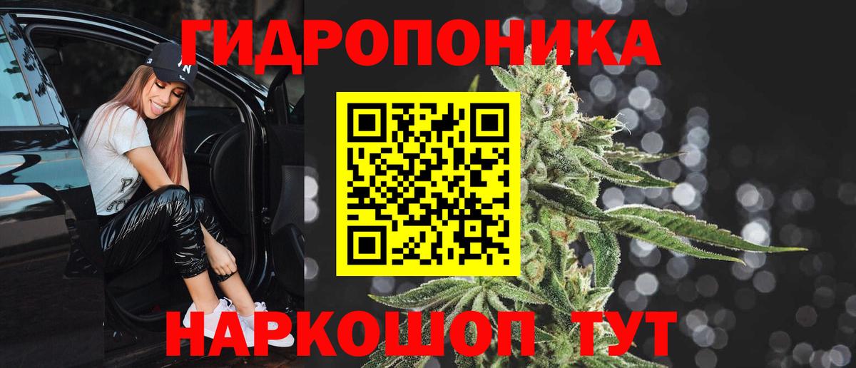 Бошки марихуана семена Заводоуковск